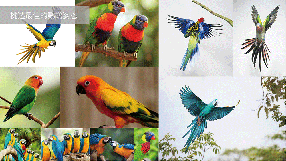 医疗咨询品牌形象设计-璞求医疗LOGO升级